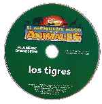 miniatura el-maravilloso-mundo-de-los-animales-volumen-05-los-tigres-por-centuryon cover cd