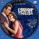 miniatura esplendor-en-la-hierba-custom-por-tony27a cover cd