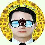 miniatura everything-is-illuminated-todo-esta-iluminado-custom-por-thurixaz cover cd