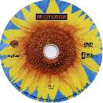 miniatura everything-is-illuminated-todo-esta-iluminado-custom-v5-por-lukiluke cover cd