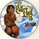 miniatura evil-anal-5-disco-01-xxx-por-champi-x cover cd