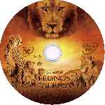 miniatura felinos-de-africa-custom-v2-por-juanq3600 cover cd