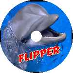 miniatura flipper-custom-por-botisss23 cover cd