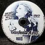 miniatura gardenia-azul-por-ximo-raval cover cd