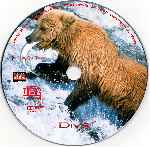 miniatura grizzly-man-custom-v2-por-rege cover cd