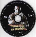 miniatura herencia-del-dragon-region-1-4-por-jaboran333 cover cd