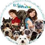miniatura hotel-para-perros-custom-por-961245 cover cd