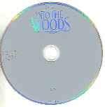 miniatura into-the-woods-por-doona2000 cover cd