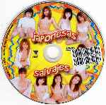 miniatura japonesas-salvajes-por-silke cover cd