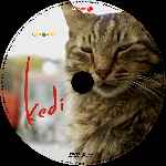 miniatura kedi-custom-por-albertolancha cover cd