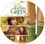 miniatura la-extrana-vida-de-timothy-green-custom-v12-por-turulatoprince cover cd