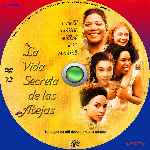 miniatura la-vida-secreta-de-las-abejas-custom-por-gabri2254 cover cd