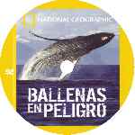 miniatura national-geographic-ballenas-en-peligro-custom-por-vigilantenocturno cover cd