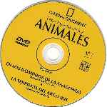 miniatura national-geographic-enciclopedia-de-los-animales-volumen-07-por-kenida cover cd