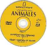 miniatura national-geographic-enciclopedia-de-los-animales-volumen-10-por-kenida cover cd