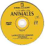 miniatura national-geographic-enciclopedia-de-los-animales-volumen-15-por-kenida cover cd