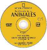 miniatura national-geographic-enciclopedia-de-los-animales-volumen-17-por-kenida cover cd