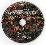 miniatura national-geographic-grandes-migraciones-disco-03-por-rmses cover cd