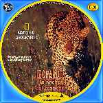 miniatura national-geographic-leopardo-la-noche-del-cazador-por-tony27a cover cd