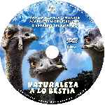 miniatura naturaleza-a-lo-bestia-custom-v2-por-guillermillo cover cd