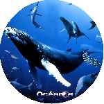 miniatura oceanos-custom-v2-por-alfix0 cover cd