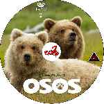 miniatura osos-custom-por-corsariogris cover cd