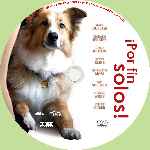 miniatura por-fin-solos-2012-custom-por-chechelin cover cd