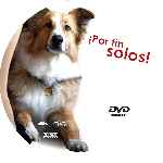 miniatura por-fin-solos-2012-custom-v3-por-claudio56 cover cd