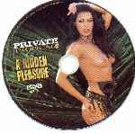 miniatura private-a-hidden-pleasure-xxx-por-charly007 cover cd