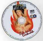 miniatura private-sexo-casual-xxx-por-richardgs cover cd