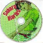 miniatura sakura-diaries-edicion-coleccionista-cd2-region-1-por-warcond cover cd