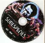 miniatura subespecies-2-bloodstone-region-4-por-polloarmy cover cd