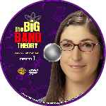 miniatura the-big-bang-theory-temporada-05-disco-01-custom-v2-por-analfabetix cover cd