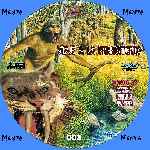 miniatura viaje-a-la-prehistoria-la-vida-en-los-canones-custom-por-menta cover cd