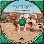 miniatura volviendo-a-casa-ii-perdidos-en-san-francisco-custom-por-piller cover cd