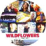 miniatura wildflowers-custom-por-eltamba cover cd