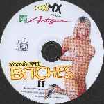 miniatura young-wet-bitches-2-xxx-por-imperiodelterror cover cd