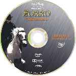 miniatura zorro-temporada-02-disco-02-por-darymax cover cd
