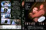 miniatura amante-ideal-custom-por-elchat cover dvd