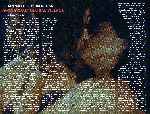 miniatura amsterdam-global-village-inlay-01-por-werther1967 cover dvd