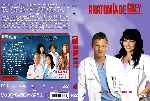 miniatura anatomia-de-grey-temporada-04-custom-v2-por-noly33 cover dvd
