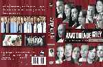 miniatura anatomia-de-grey-temporada-07-custom-v2-por-analfabetix cover dvd