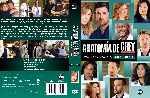 miniatura anatomia-de-grey-temporada-09-custom-v2-por-analfabetix cover dvd