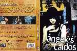 miniatura angeles-caidos-1995-region-4-v2-por-werther1967 cover dvd