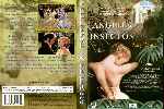 miniatura angeles-insectos-por-elchat cover dvd