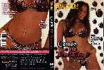 miniatura as-panteras-caindo-na-tentacao-xxx-por-jbslopes cover dvd