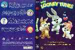 miniatura baby-looney-tunes-volumen-10-custom-por-vigilantenocturno cover dvd