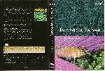 miniatura bbc-indonesia-salvaje-maravillas-submarinas-region-4-por-gustavo-sfcbaarg cover dvd