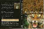 miniatura bbc-indonesia-salvaje-selvas-magicas-region-por-gustavo-sfcbaarg cover dvd