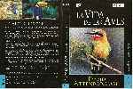 miniatura bbc-la-vida-de-las-aves-capitulo-06-region-4-por-gustavo-sfcbaarg cover dvd